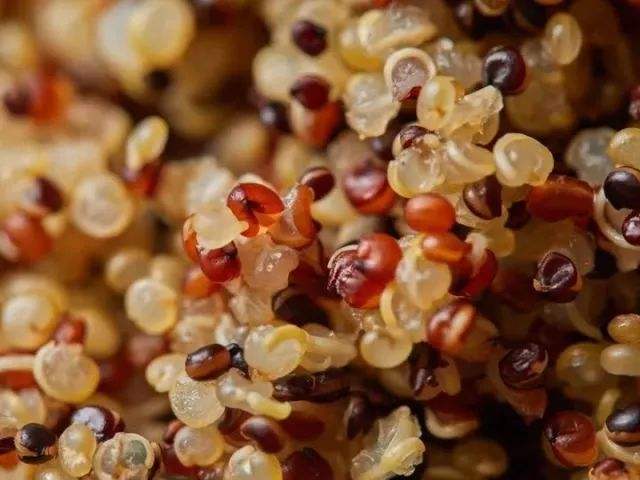 藜麦富农，一个可复制的品牌扶贫故事